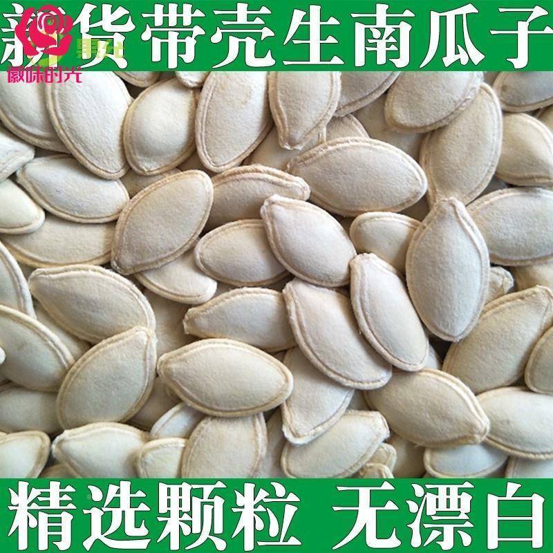 内蒙古特产带壳南爪子原味生的生南瓜籽大粒特大南瓜子散装旗舰店