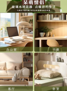 摆件装饰小花瓶家居客厅办公桌茶桌摆设透明玻璃水培植物插花器皿