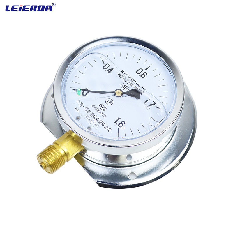 雷尔达 船用耐震防震压力表凸装式 YN-100T 气压液压 径向带后边