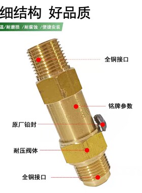 克罗斯中央空调安全阀CSA-22C300T冷媒R22冷凝蒸发器制冷安全阀