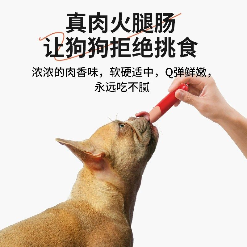 汪小美丨10斤狗狗火腿肠大根泰迪柯基中型犬专用训狗奖励零食香肠,宠物/宠物食品及用品,狗火腿肠/香肠,淘宝优惠券,粉丝福利购,淘宝优惠卷