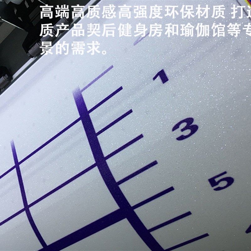 健身评估a网格体姿图定制简约体测表人体姿势分析墙纸体位测量体