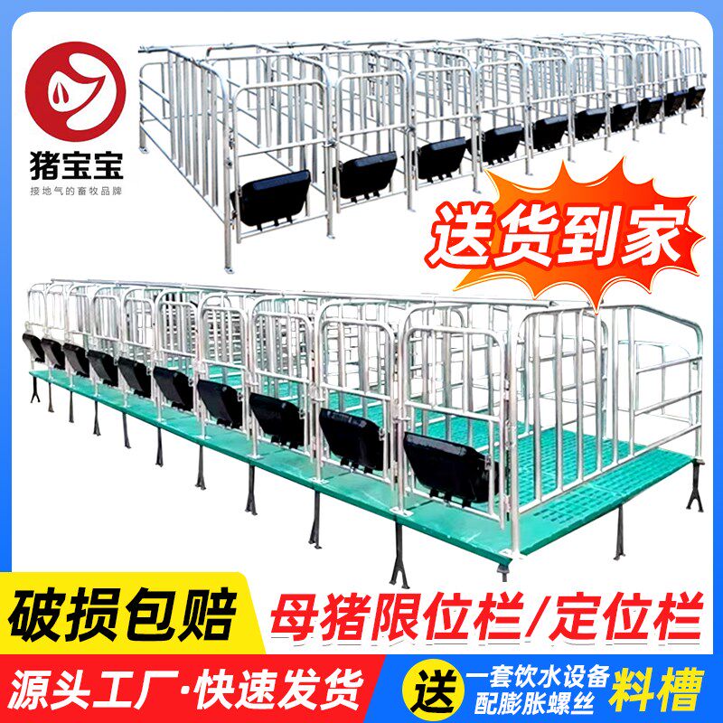 母猪定位栏母猪产l床落地式定位围栏杆猪圈漏粪板加厚猪用限位栏