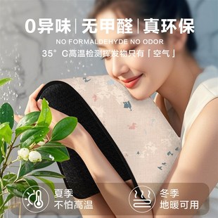 乔迁地毯 进门红色地垫入户门垫防滑家用新居门口吸水脚垫喜庆中式