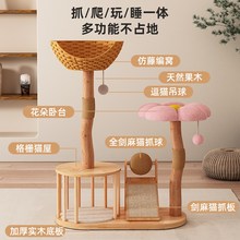 全实木猫爬架猫窝猫树一体藤编猫架子小户型不占地果木树干猫玩具