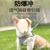 背心式 狗狗牵引绳小型犬胸背带泰迪柯基小狗幼犬狗链子遛狗绳胸背