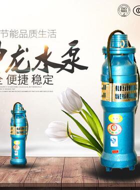 QS深井潜水泵大流量高扬程农田灌溉井用抽水泵景观喷泉潜水电泵