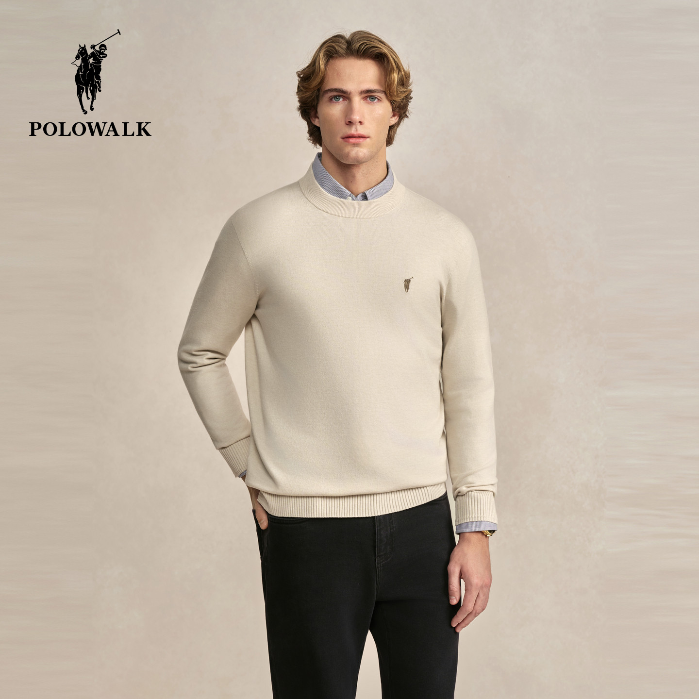 【5A抗菌 防螨】POLOWALK男式针织衫2025秋冬新品半高