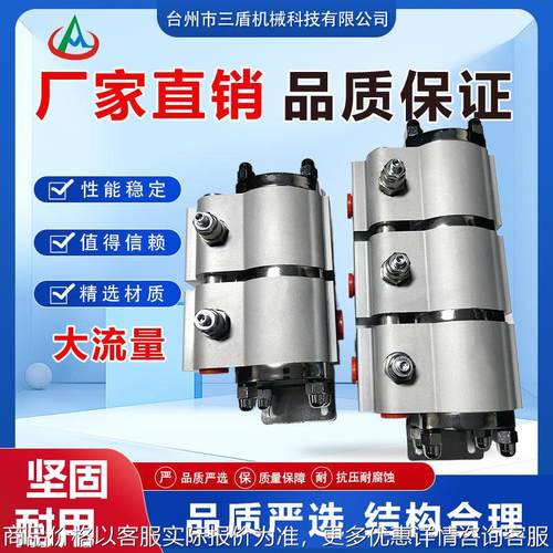 液压同步马达液压油缸双向升降分流阀同步器一进二出液压油缸SD06