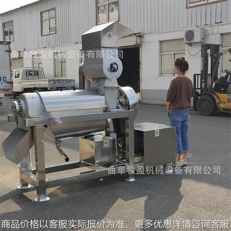 工业水果螺旋榨汁机 大型菠萝凤梨破碎榨汁机 杨梅樱桃去核打浆机
