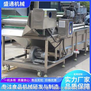 全自动预制菜加工设备 根茎类蔬菜洗菜机 无花果水果气泡清洗机