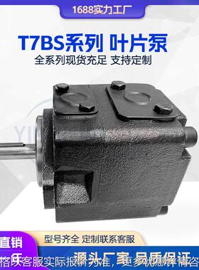 液压泵T7BS叶片泵船甲板克令吊液压泵高压叶片泵 伺服泵T7BB T7DB