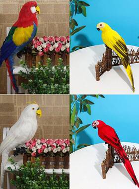 真动物标本鹦鹉假鸟小鸟摆件花园橱窗道具教学模型静态家居装饰