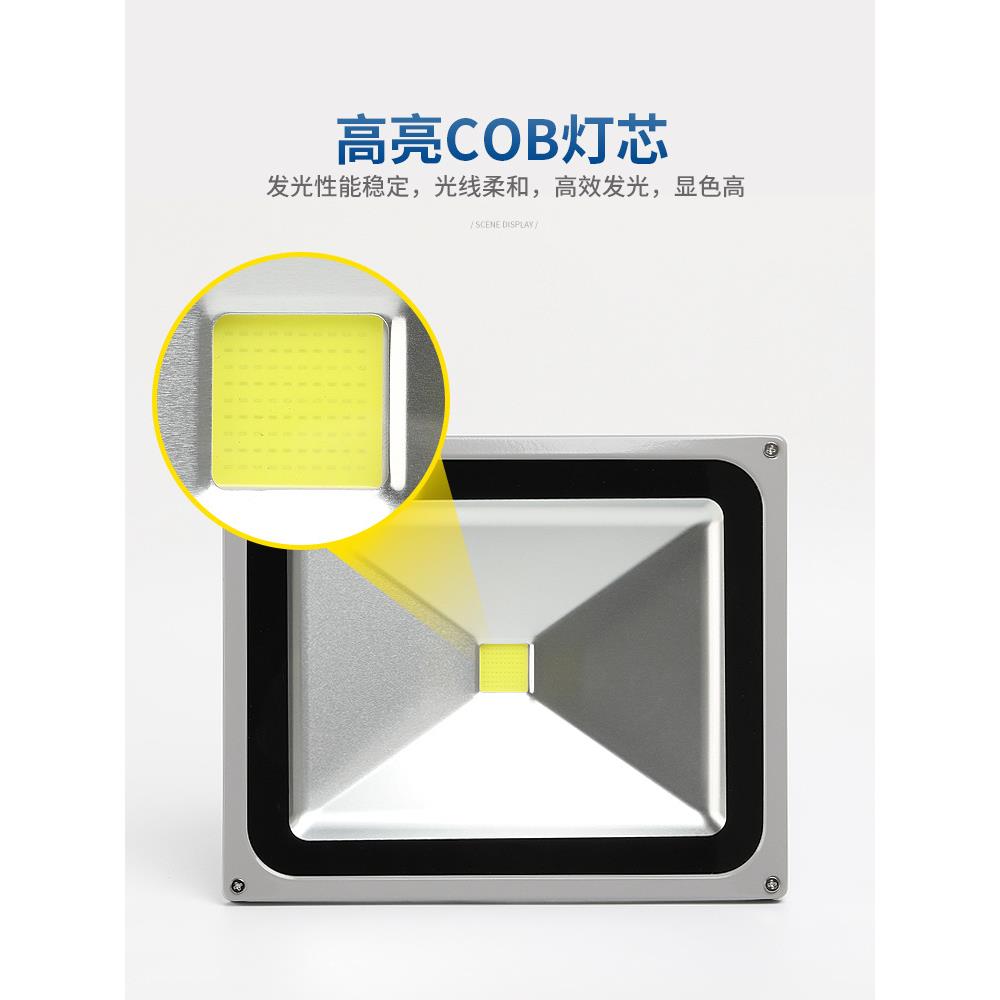 LED投光灯户外防水泛光工程景观绿化草坪庭院广告招牌射灯背包款