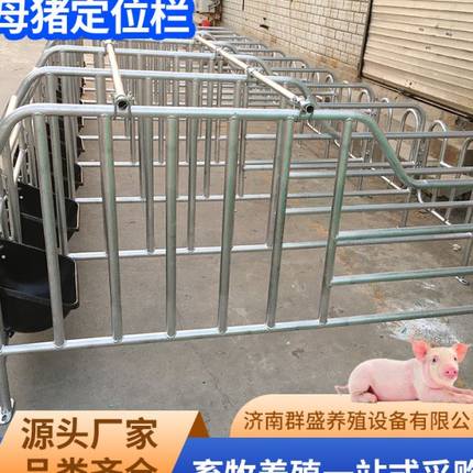 母猪定位栏限位栏猪圈围栏复合漏粪板母猪产床养猪用设备保育