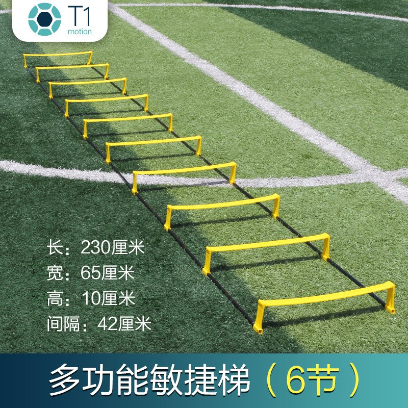 两用敏捷梯 固定跳格梯 跨栏架软梯绳梯 速度梯步伐训练梯