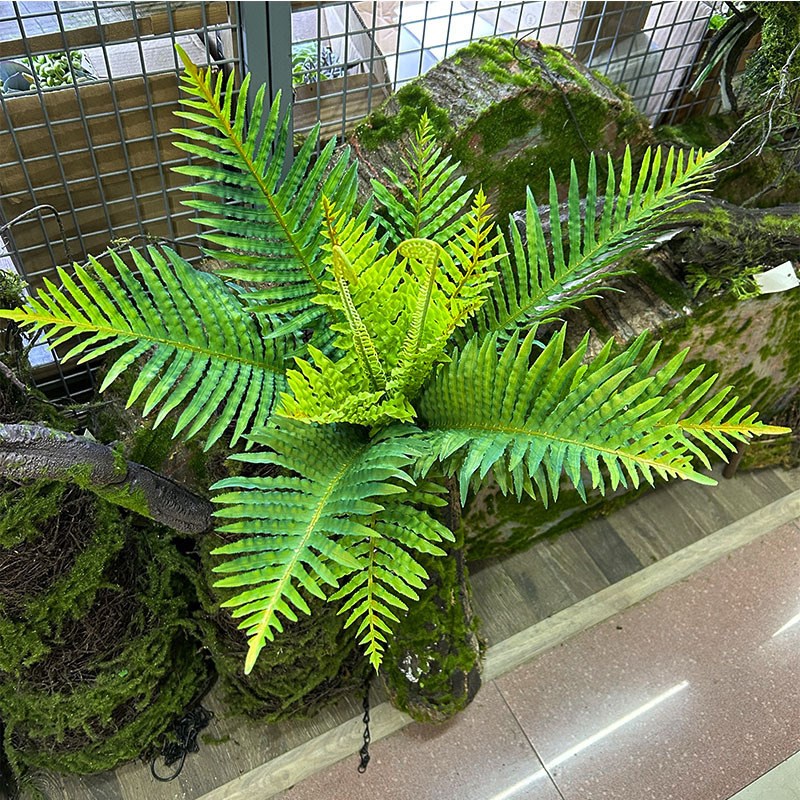 大香蕨植物墙配材仿真大波斯草热带雨林蕨草波斯蕨绿景装饰塑料草