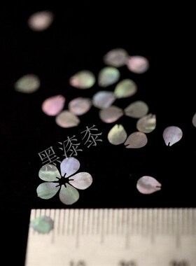 梅花形 传统螺钿花黑漆漆大漆J漆器镶嵌素材漆画材料