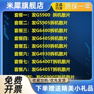 G5900T G5900 G6400 G6405 4930 G5905 QG6400T CPU 散片