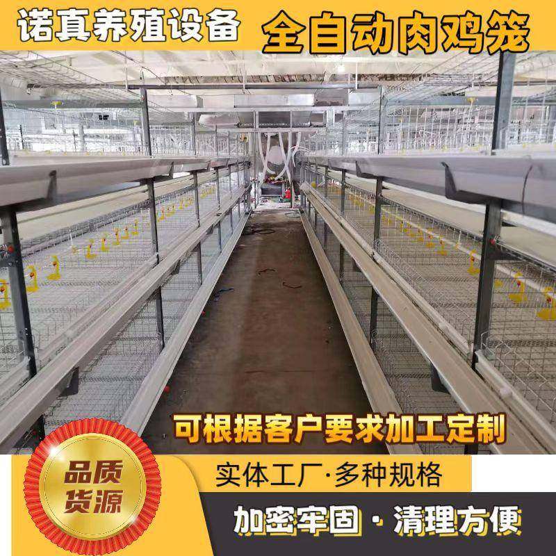 自动喂料肉鸡笼镀锌鸡笼养鸡设备大型养殖鸡舍肉鸡笼厂家,畜牧/养殖物资,特种养殖设备,淘宝优惠券,粉丝福利购,淘宝优惠卷