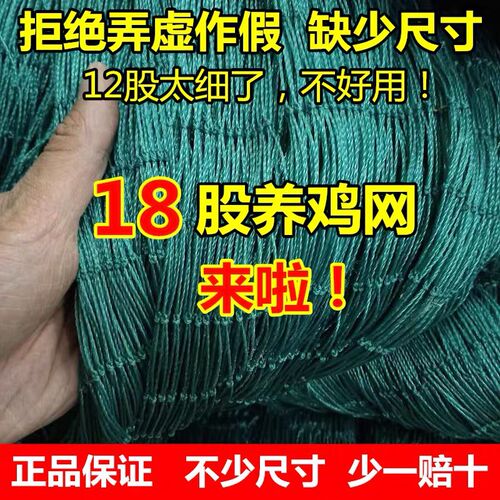 加粗18股养鸡网养殖网菜园拦鸡网围鸡网养鸡围栏网护Y栏隔离栏拦