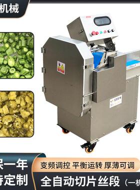 根茎类蔬菜类切片切丝机柜式商用切丝机大功率大口径带面板切丁机