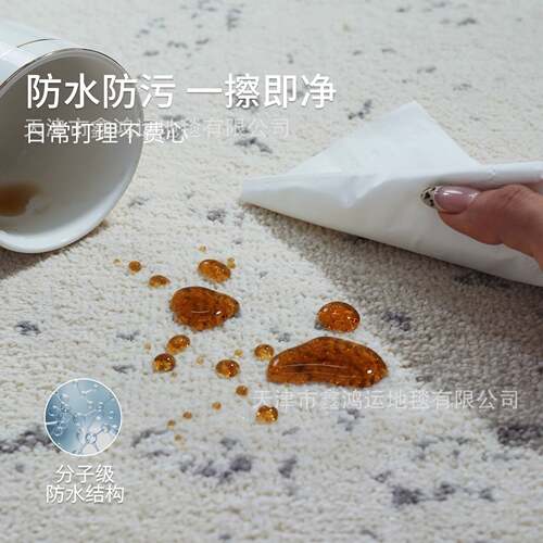 客厅地毯无胶防水抗污意式轻奢现代灰色简约高级感沙发卧室床边毯