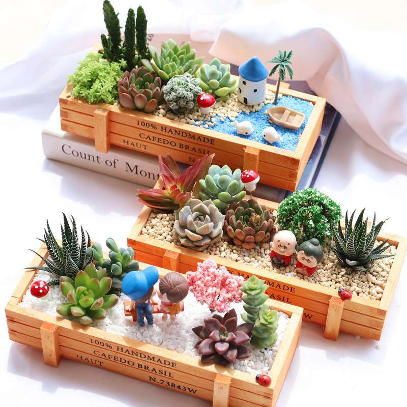 多肉植物组合盆栽套餐多肉DIY微景观材料包含盆含土室内绿植包邮