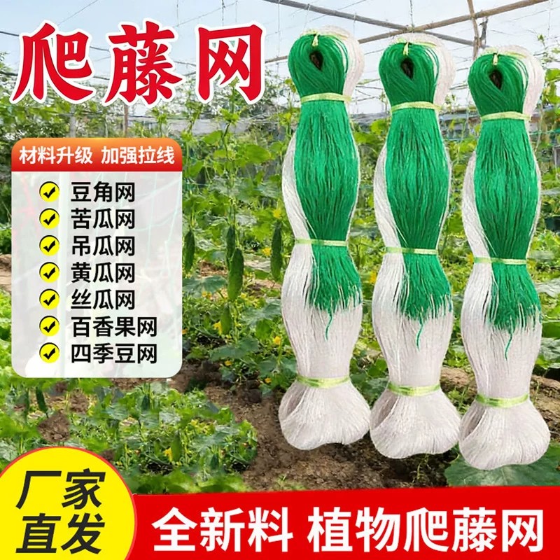豇豆吊瓜丝瓜苦瓜黄瓜豆角百香果