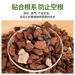 兰花土专用土透气兰石颗粒石斛植料松树皮春剑墨大花蕙兰专用土壤