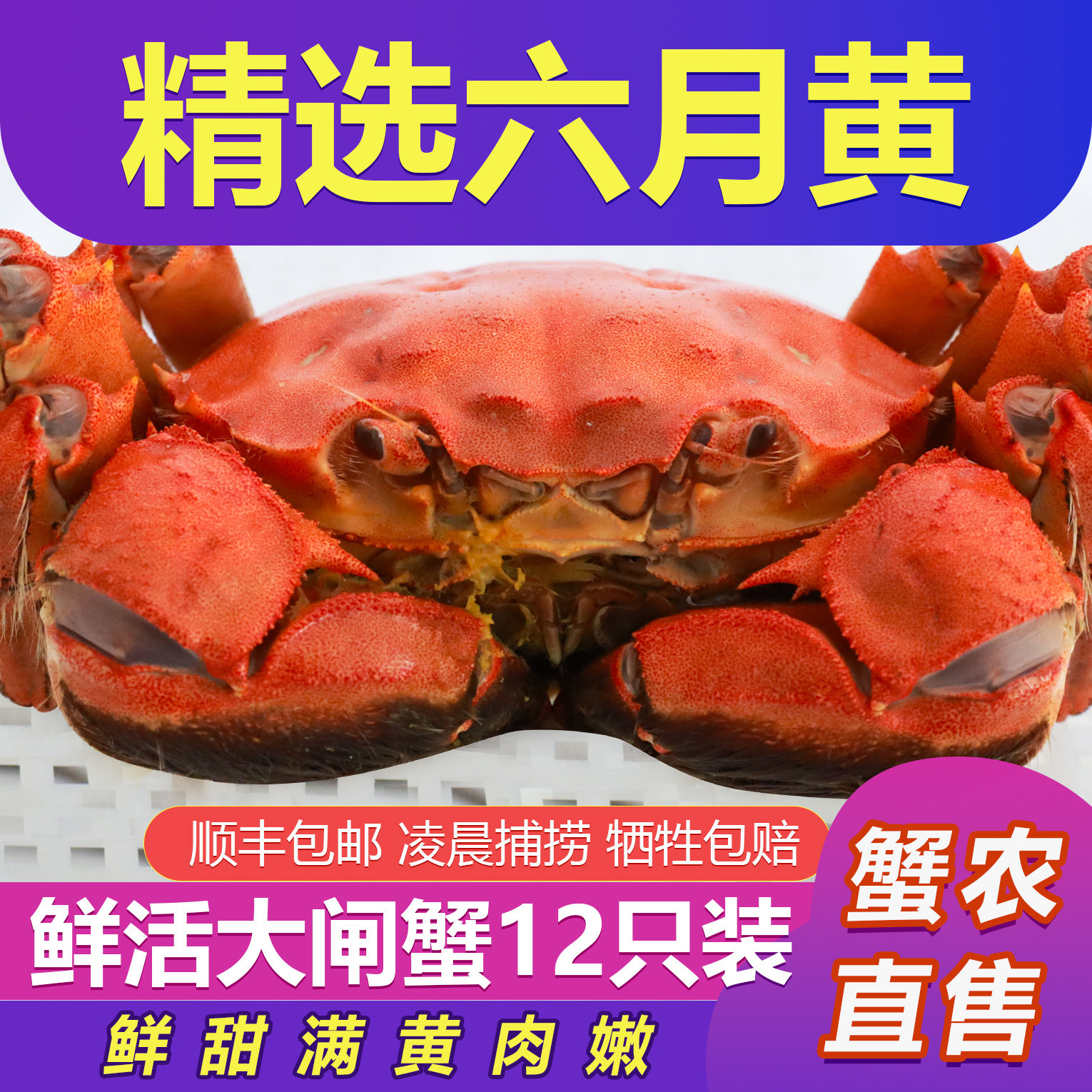 鲜活六月黄大闸蟹满黄满肉