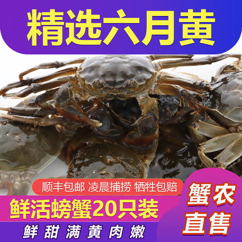 鲜活螃蟹1两-1.3两20只送6只