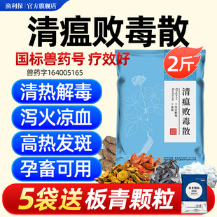 清瘟败毒散兽用清热解毒鸡药鸭鹅猪牛羊用流感抗病毒中药正品兽药