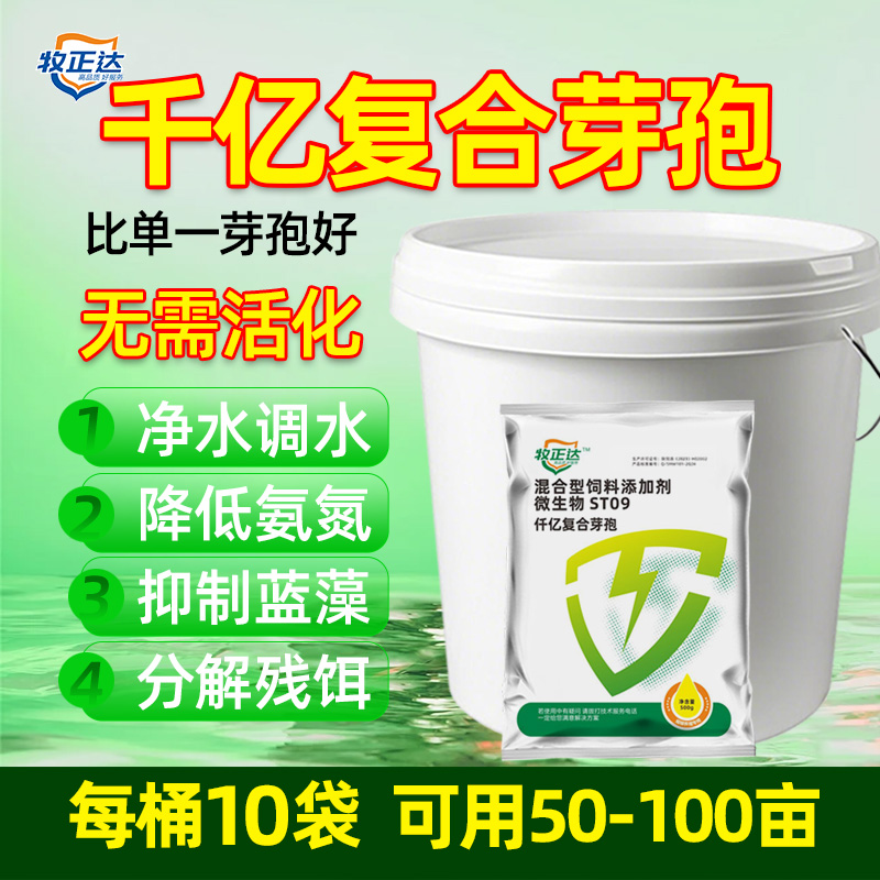 千亿芽孢水产养殖用分解青苔蓝藻