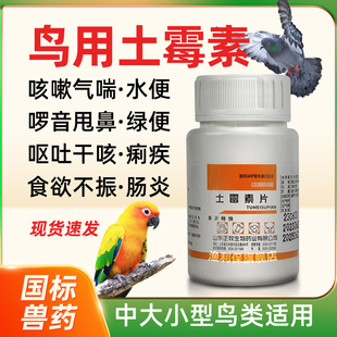 鸟用土霉素片鹦鹉鸽子感冒咳嗽拉稀腹泻肠炎绿便水便养鸟常备药