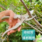 全钢修枝剪刀自动回弹园林摘果剪花园树剪子工具剪枝果树枝修剪刀