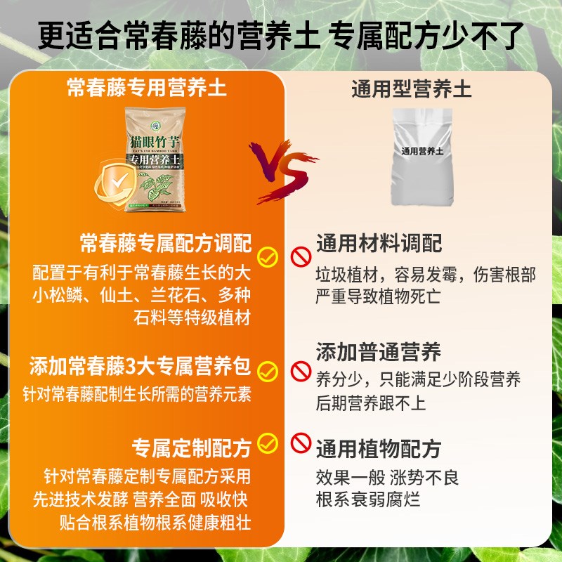 常春藤专用土花卉种花盆栽土常春藤营养土养花有机土壤家用种植土