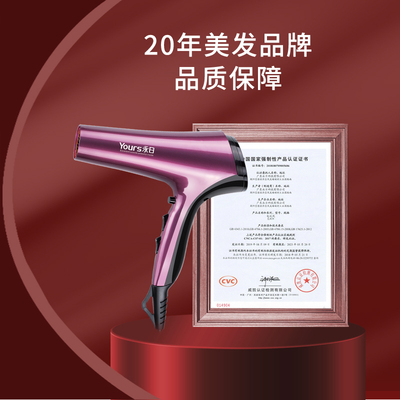 永日电吹风大功率发廊理发店大风力吹风机家用吹风筒发型师