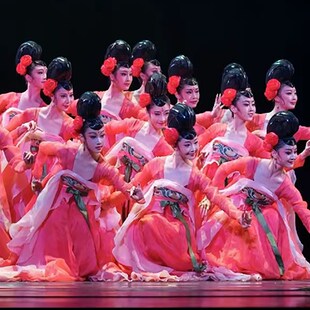 桃李杯簪花一卷新款汉服宋制诃子裙红色大袖衫古装扇子舞蹈汉唐风