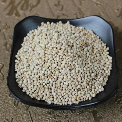 苏子白苏子黄雀零食鸟食上膘鸟粮饲料500g1斤