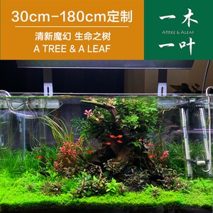 生命之树 沉木造景定制  一木一叶造景 沉木M 草缸 造景沉木 草缸