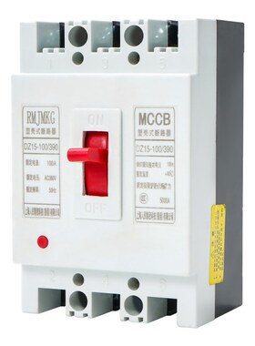 上海人民精密科技塑壳断路器DZ15-40/100白色外壳工地用空开2P/3P