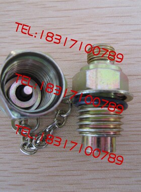 高压测压软管TEST HOSE DN=3 W.P 630BAR B.P 1600BAR 压力表线