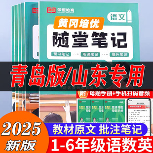 2025新青岛版六三制数学黄冈随堂笔记一二三四五六年级下册配套教材QD版课本同步练习册63制小学学霸课堂笔记教材全解资料每日一练