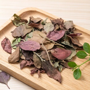 25年倚邦中小叶猫猫脂粉香紫芽白茶50克(高货系列) 拍3发6