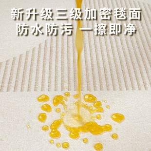 免洗可擦防水卧室地垫轻奢高级沙发茶几毯 奶油风地毯客厅2024新款