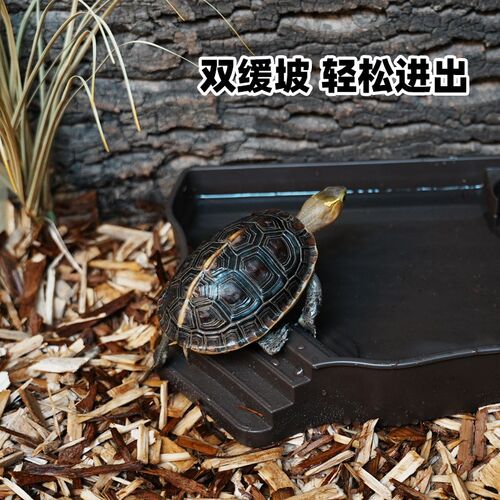 黄缘龟专用泡澡水盆半水龟陆龟保湿喂水盆食盆爬宠饲养箱造景装饰