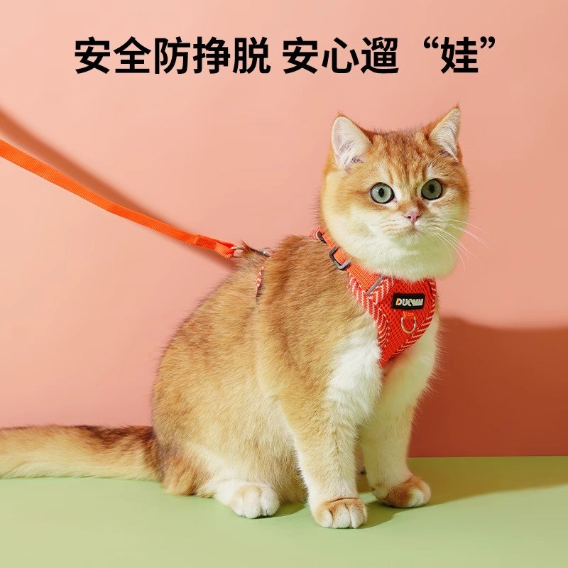 猫咪牵引绳夏季户外遛猫神器背心式胸背猫咪不勒脖防挣脱猫绳