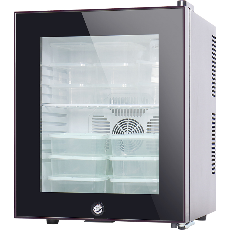 幼儿园食品留样柜小型饮料冷柜家用商用小冰箱饭桌冷藏保鲜展示柜