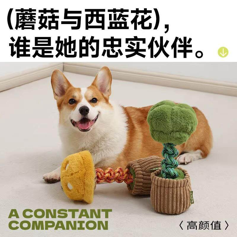法国宠物狗狗玩具耐咬磨牙绳结幼犬发声解闷神器狗宠物棉绳玩具